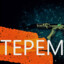 Дядьки_Теремки