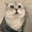 今天天气不错