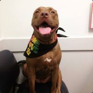 Mafia2Madafaka - steam id 76561197965727874