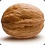 ThePepperedWallnut