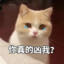 居心险恶