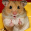 Hamster Travieso