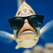 Cool_fish_Ido