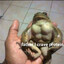 Protein Maxer