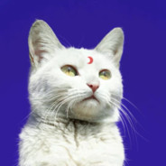 小心二次元女人