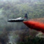 AgentOrange9680