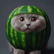 watermelon cat