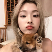 梓研别回头我是顾易