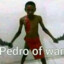 pedro of war