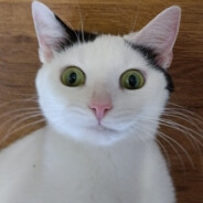 yimi