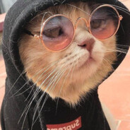 𝙏𝙝𝙚𝙆𝙚𝙧𝙮𝙡