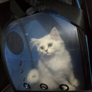 暴龙神（代价随机）