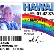 absolute керпич