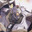 Geara_Doga_Flakes