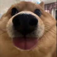 超级无敌螺旋修清酒