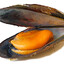 Mejillones