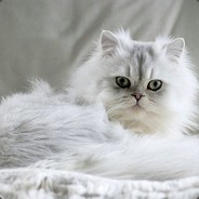 MoneyTalks - steam id 76561198315623464