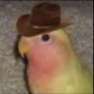 A bird in a hat