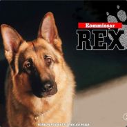 Rex-Drekon