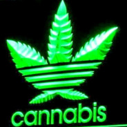 * CAnnaBIIS