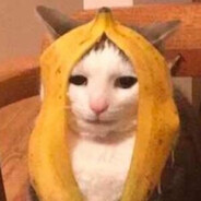 ThatOwlFromPoland's avatar