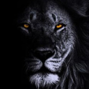 SoN - steam id 76561199084769444
