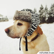 а тобі не холодно