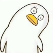 白絲蘿莉孫笑川夢不到大貂偽娘學長