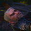 Geralt&#039;s Existential Crisis