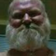 نسر المراعي