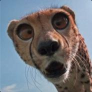 yruuct - steam id 76561197964424043