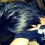 SHīnHānsāmupro(▼へ▼メ)