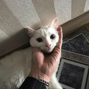 终是伤了我的心