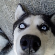 魂牵加携手.太君跟我走