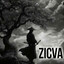 Zicva