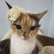 vembie