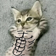 sans