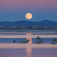 王哥只爱小妹妹