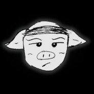 胡佳林大王