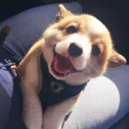 把头压低给我索