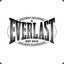 EverLast skinworld.gg