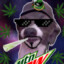 Dogg Snoop Dogg