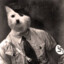 Adolf Kitler