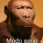 Amigo do vigia:Sulista