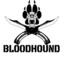 BloodHoundX