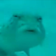 小优吃你家米吃你家面