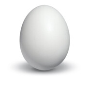 Egg