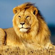 у меня Покой в Нищ