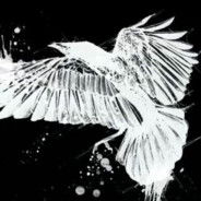 诺瑞莎·斯塔法洛