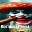 мистер пенис